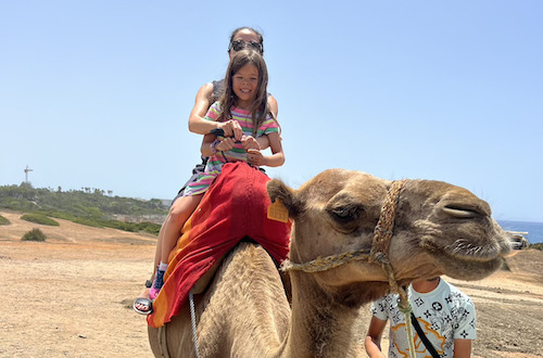 Morocco day tours from Spain